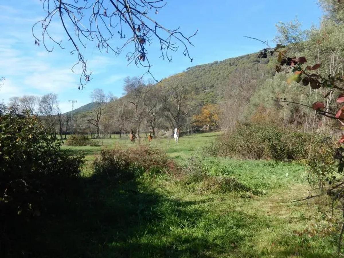 Spacious house in Cenicientos with mountain view - Housity