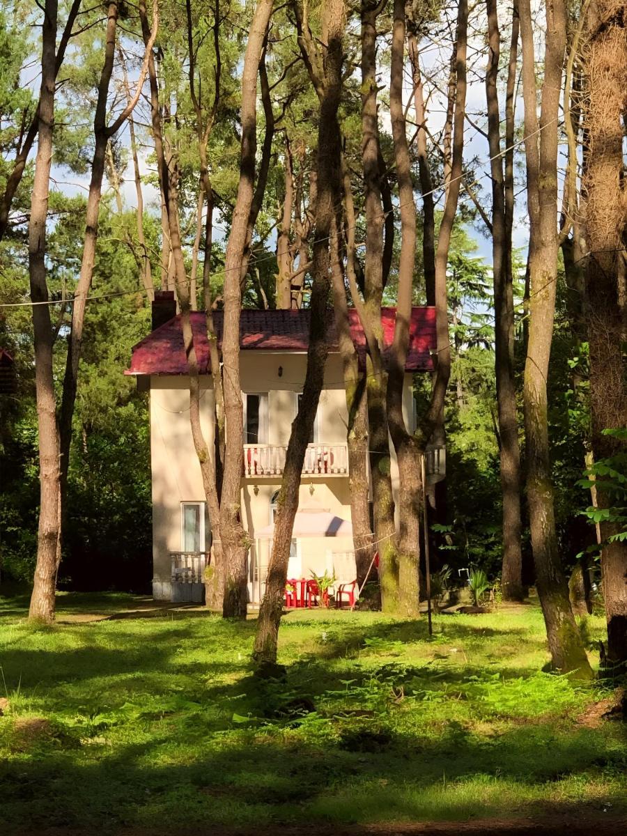 Shekvetili Beach House - Housity