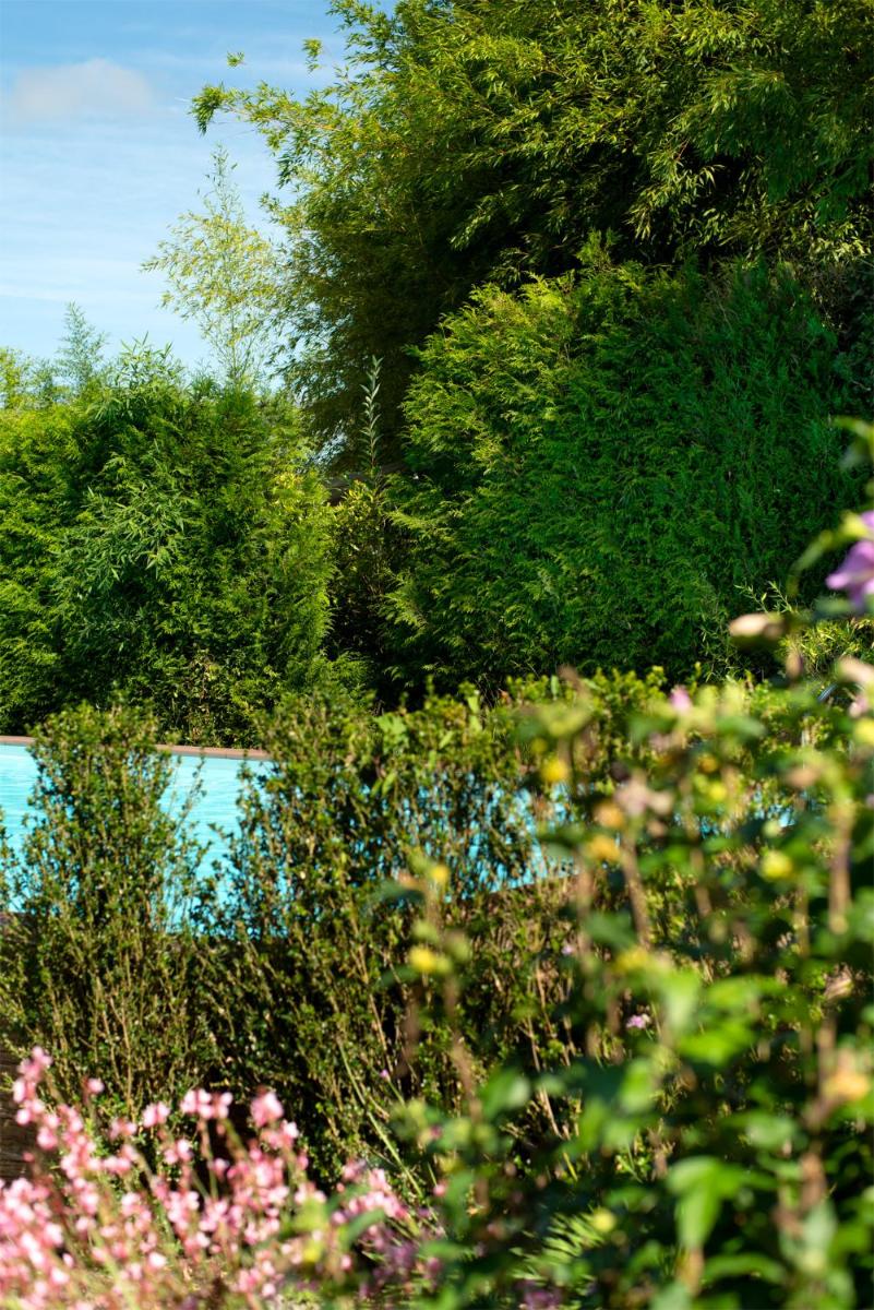 Paisaje cerca de este hotel