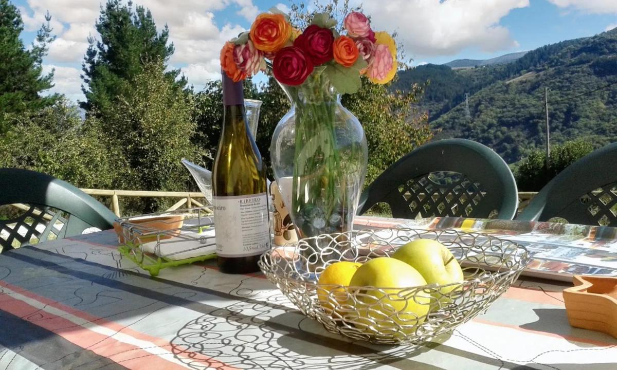 Cozy house in Grandas de Salime with mountain view - Housity