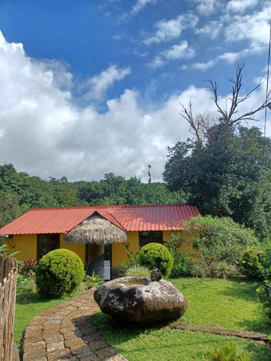 Iartong Guest House - Housity
