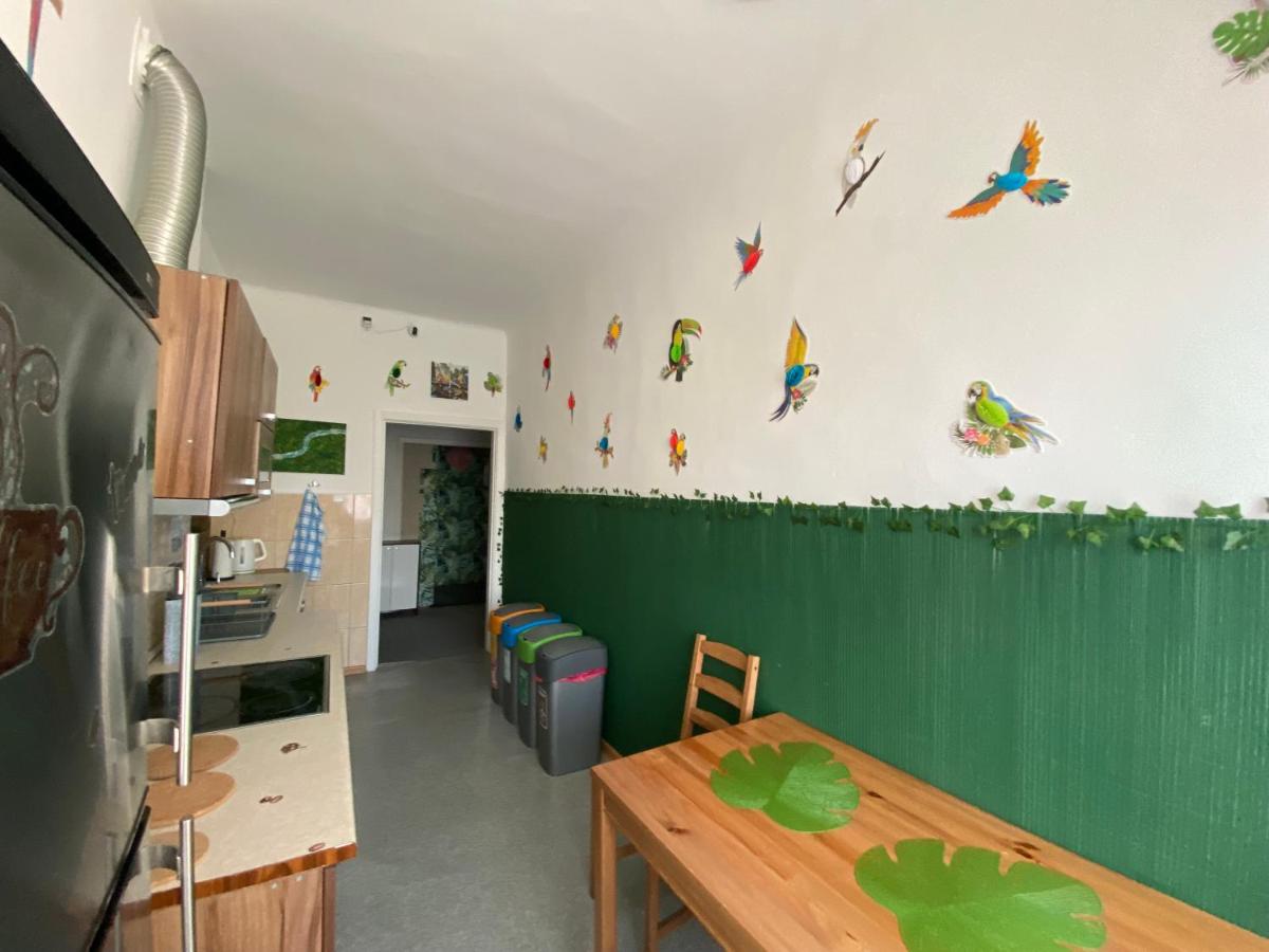 Jungle Rooms - Housity