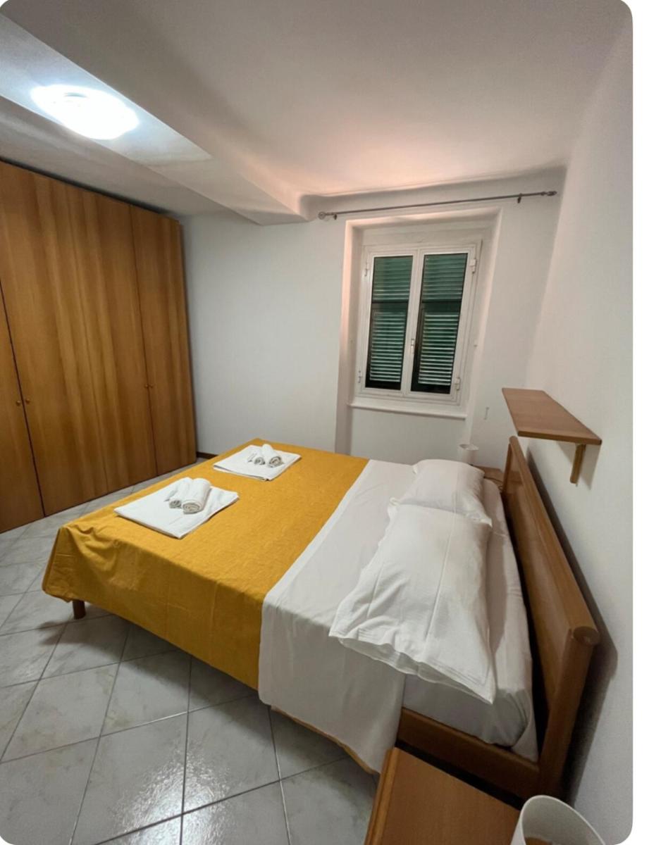 Andromeda 2 - Housity