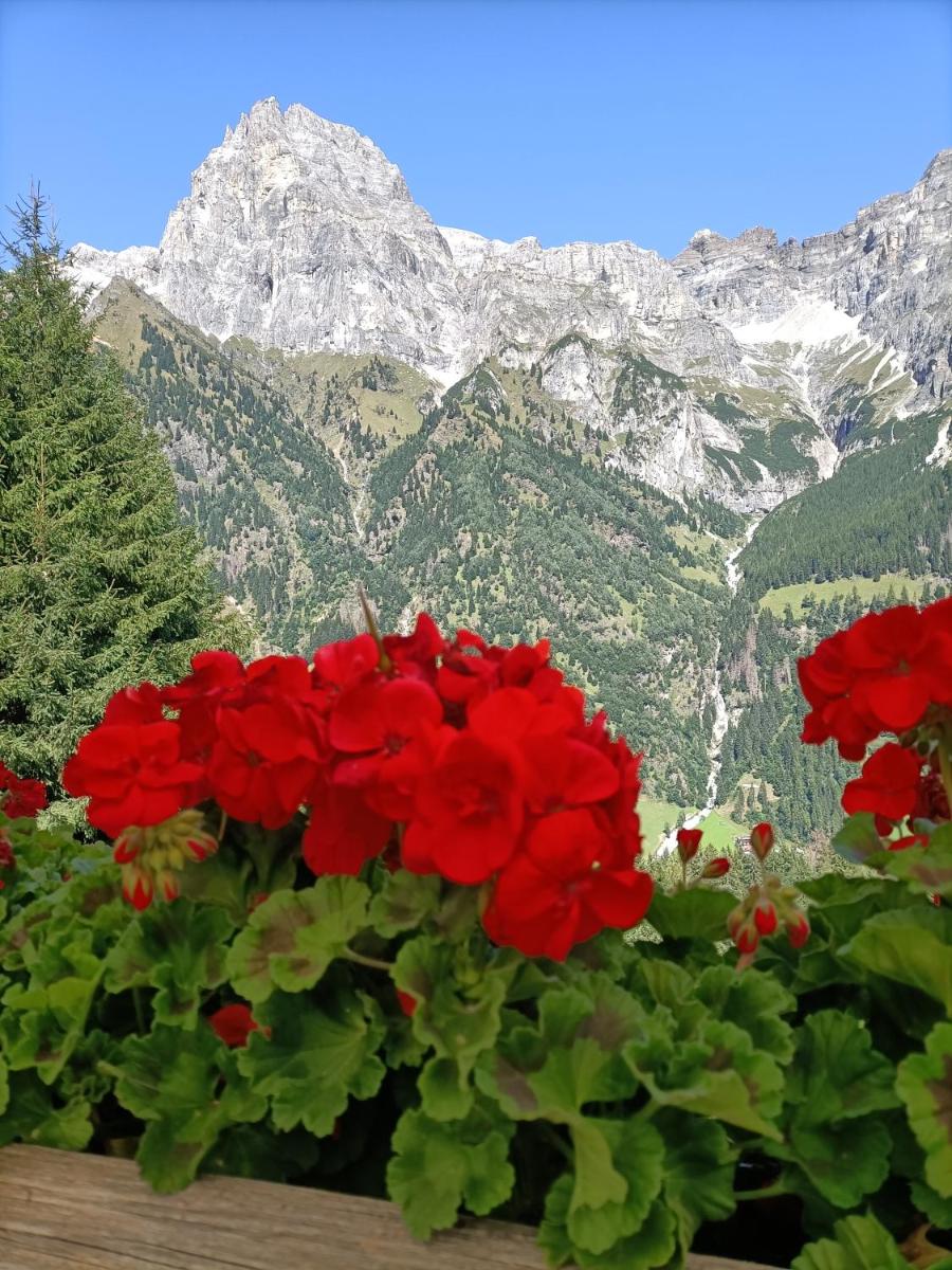 Suitetrails - La Stella Alpina