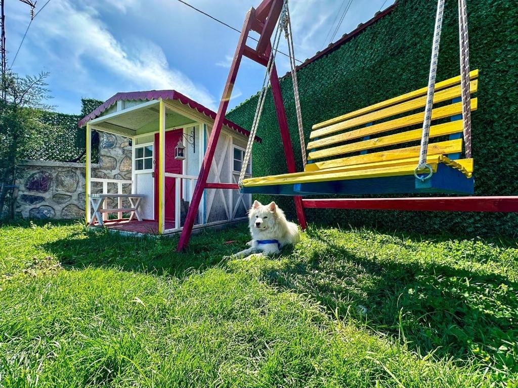 Patya BUNGALOV - Housity