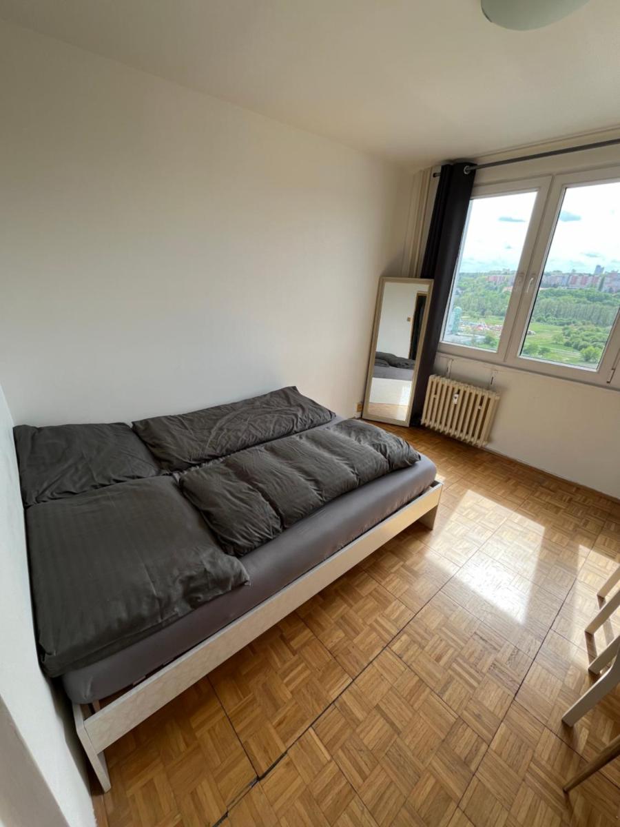 Private room in a shared park-side apartment with a great connection to the city center - Housity