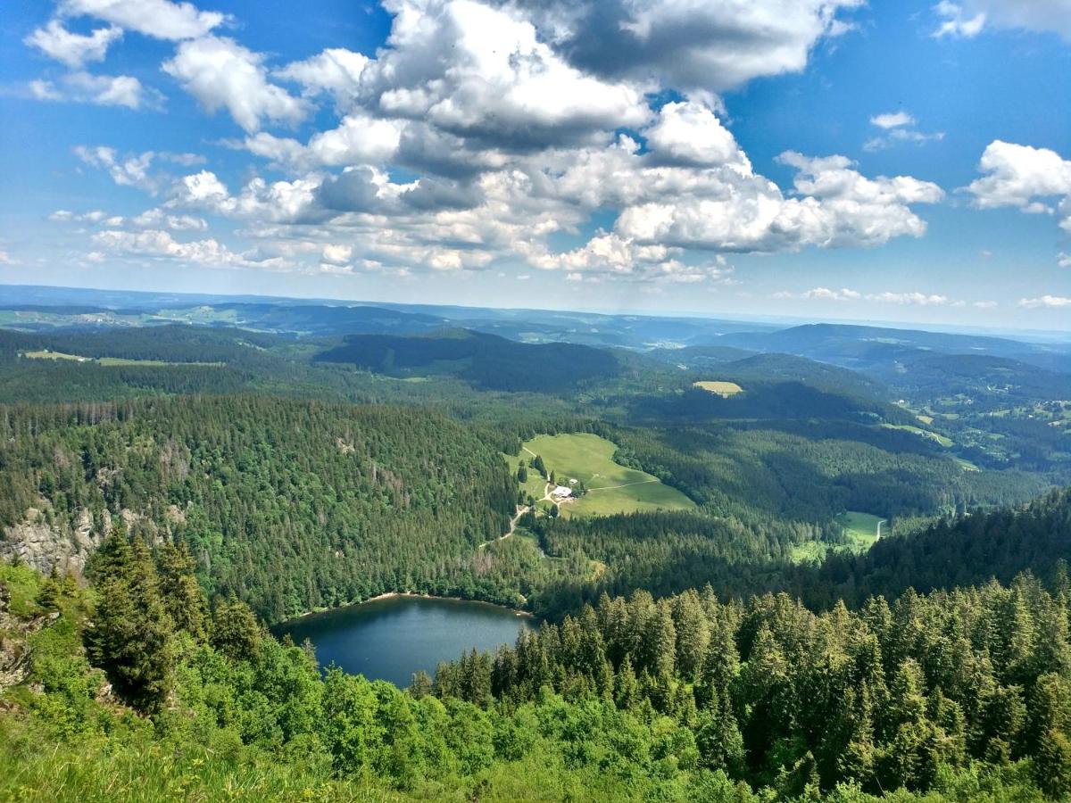 Haus Wiesenquelle - Fewo 1 "Schlüchtsee", Feldberg - Housity