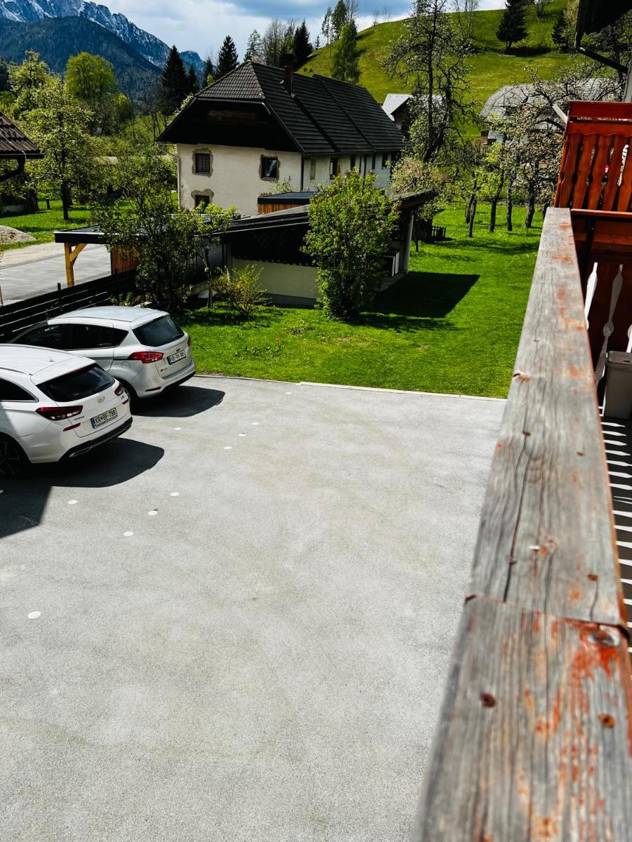 Apartma Lip - Housity