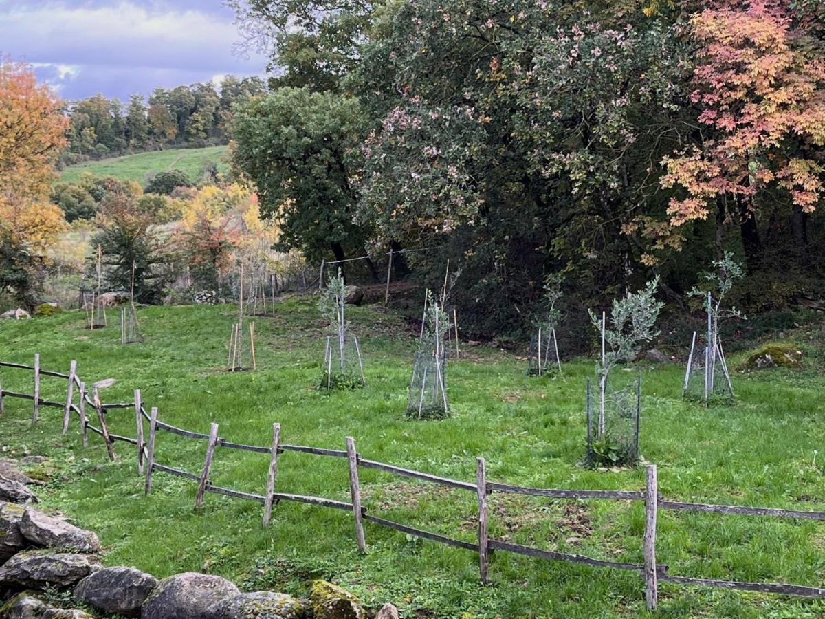Casetta Di Ugolino - Housity