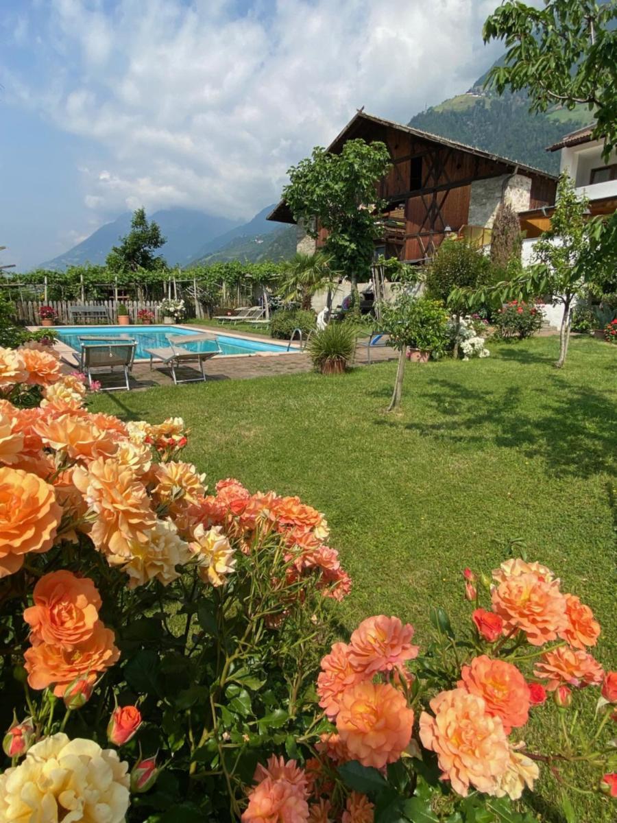 Garni-Hotel Tritscherhof - Housity