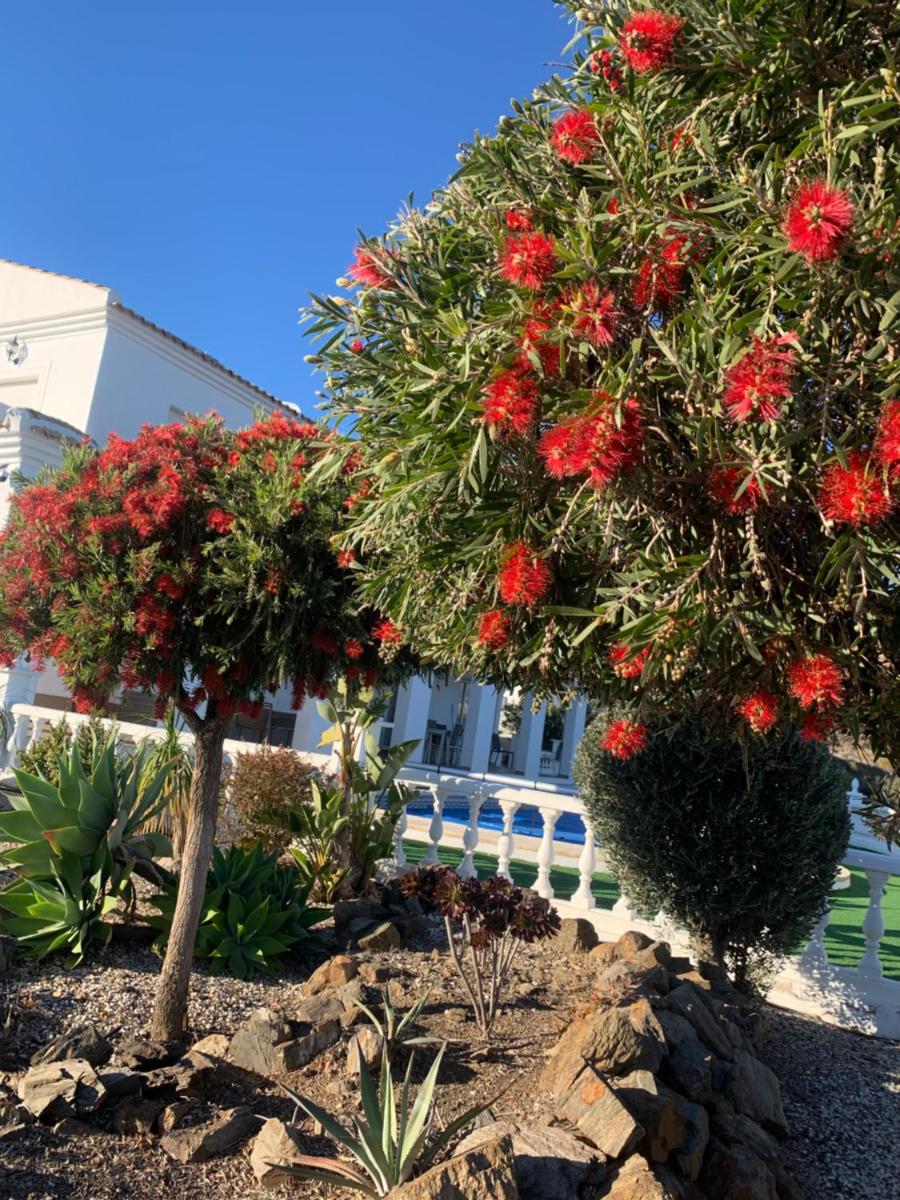 Villa Tranquila Arenas Malaga - Housity
