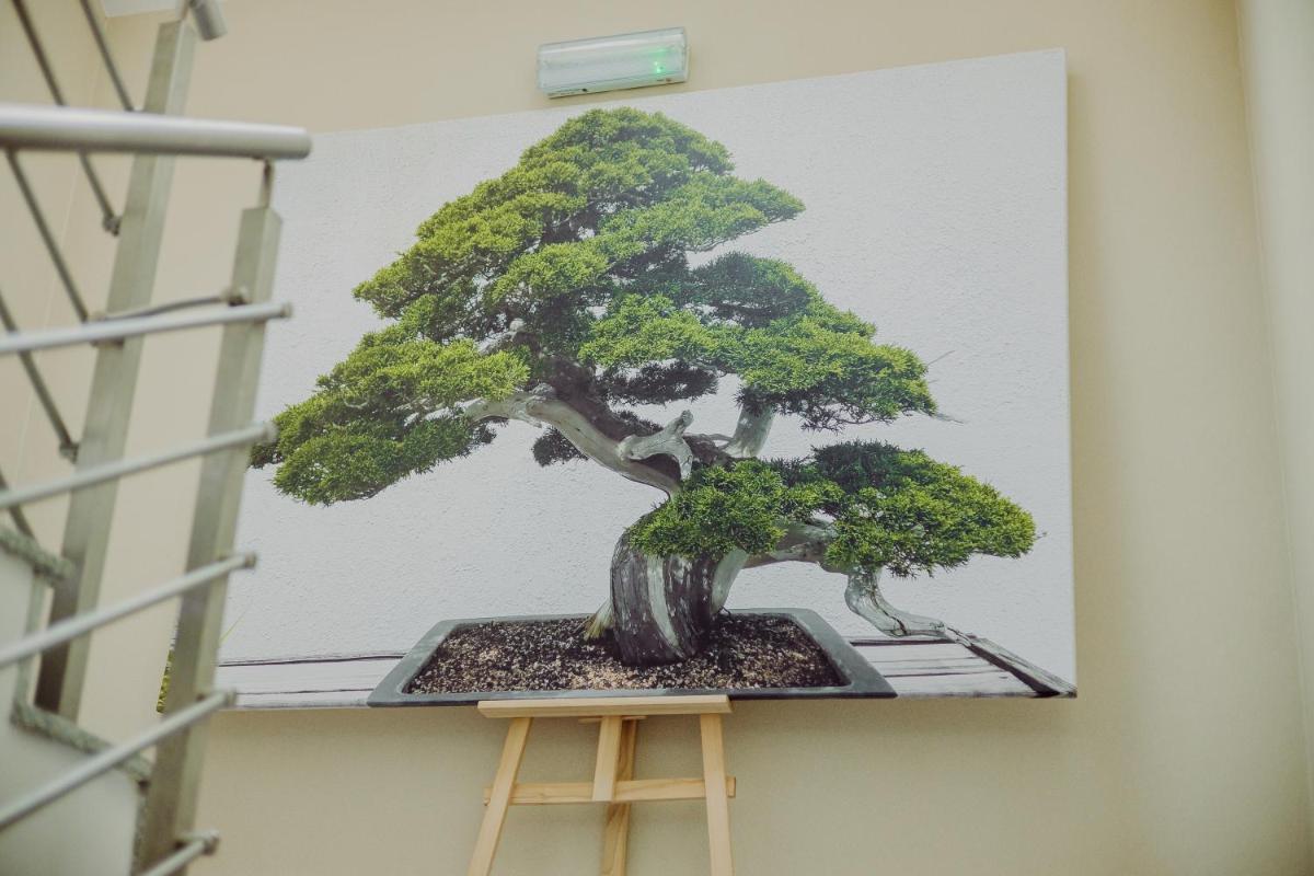 Hotel Bonsai - Housity