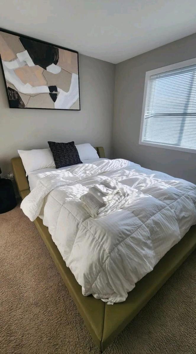 Daisy home- one bedroom apartment - Housity