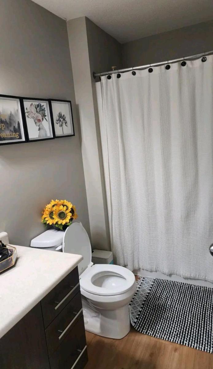 Daisy home- one bedroom apartment - Housity