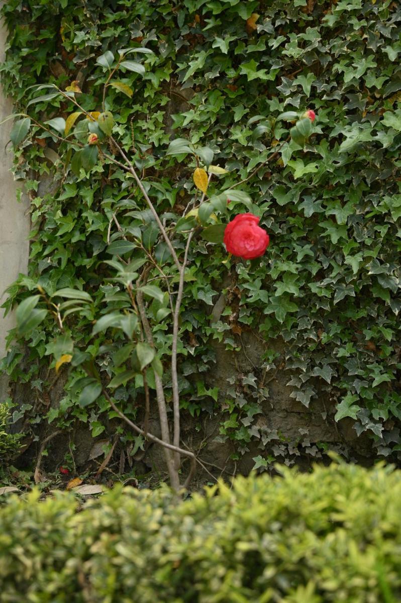 Kabana de Nature - Housity