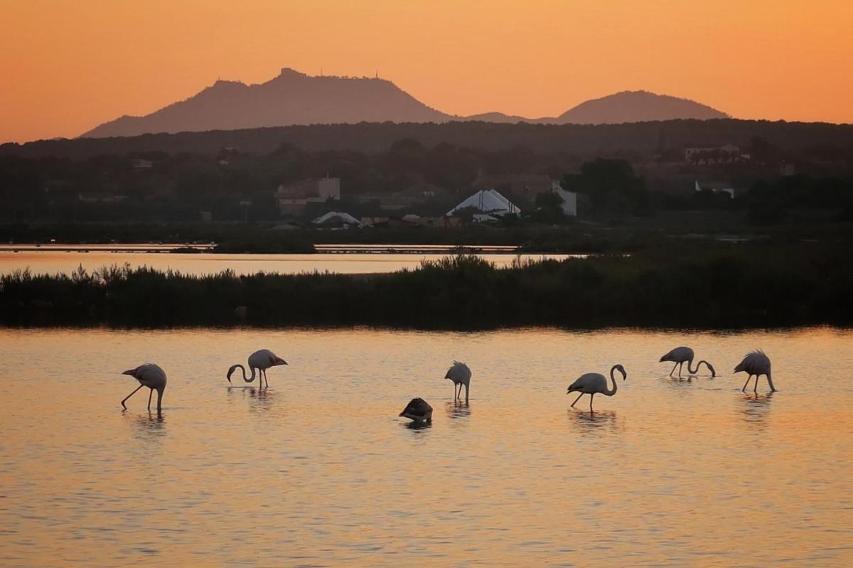 Paisaje cerca de este hotel