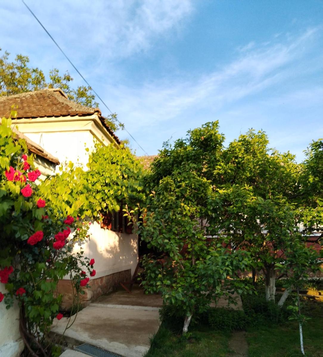 Bistrički mir 1 - Housity