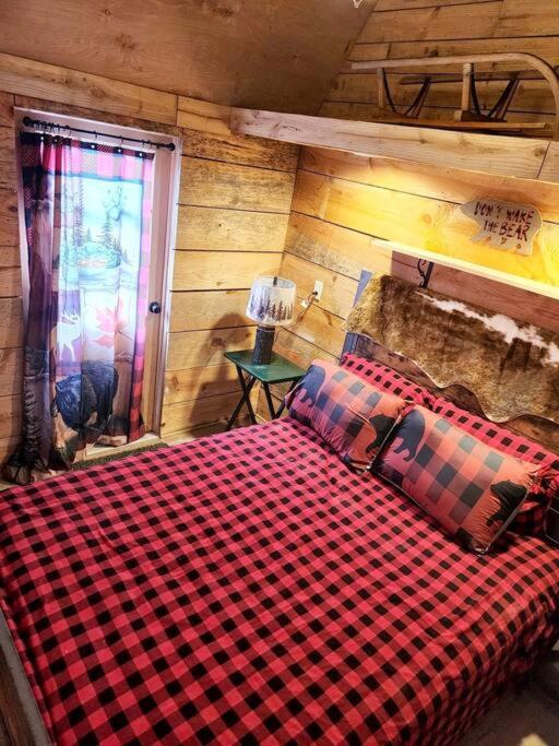Lazy Bear Retreat by the Creek - Housity
