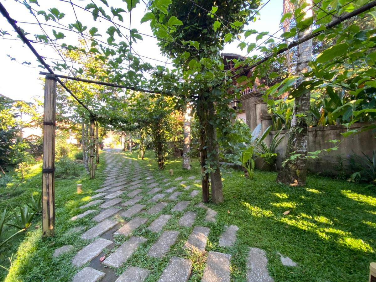 Rural Atmosphere at Bali Coconut House in Delodsema Village - Housity