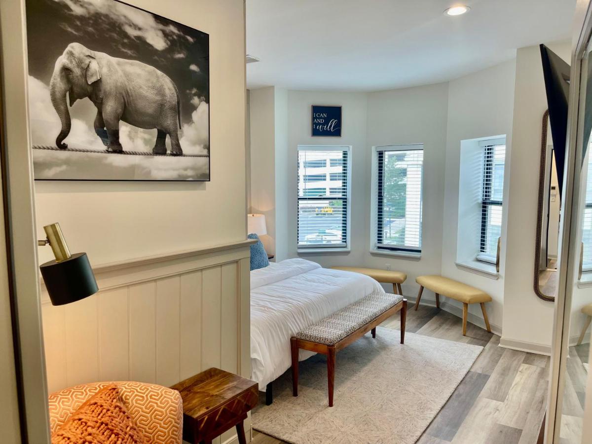 Modern Fully Renovated Suite & Loft in Downtown Trenton - Housity