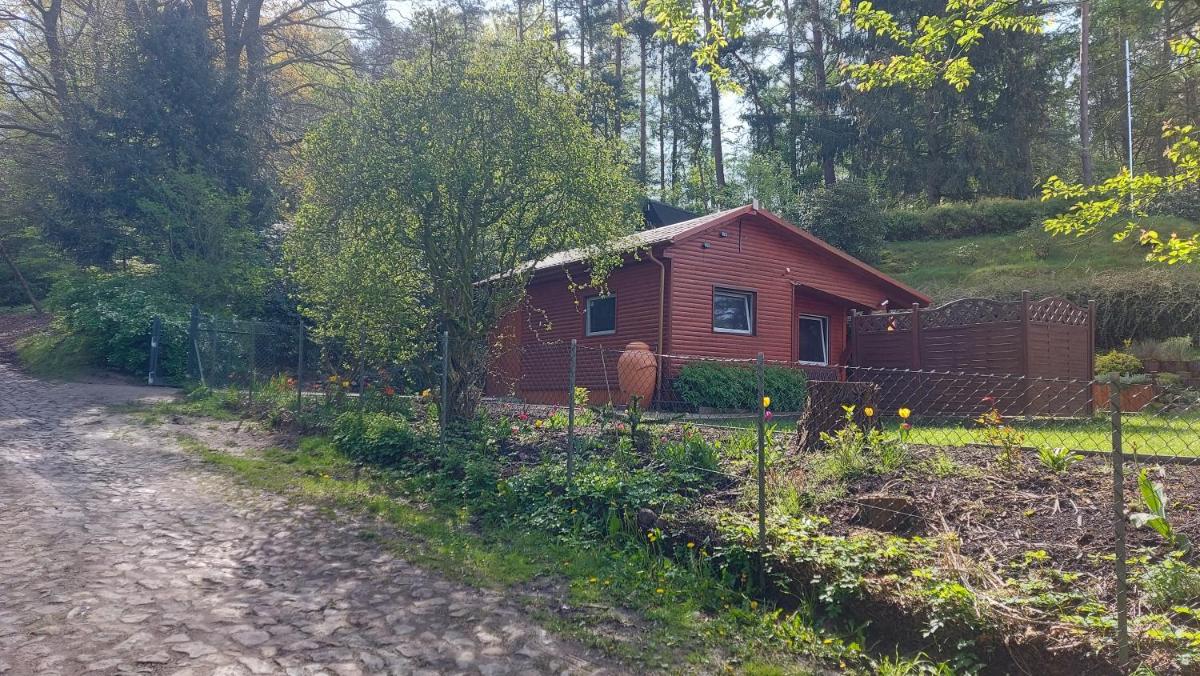 Ferienhaus in Geesthacht-Tesperhude direkt am Waldrand - Housity