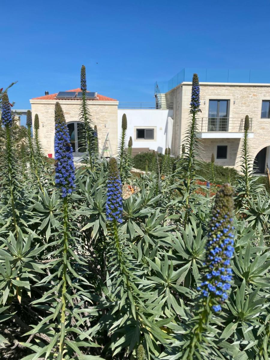 Villa Annie Crete - Private Luxury Villa with Sea and Mountain Views - Housity