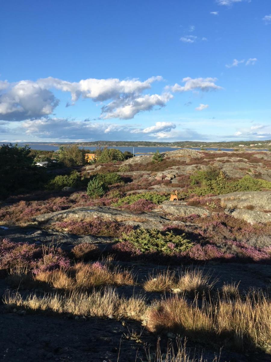 Björkö en vacker semesterö - Housity