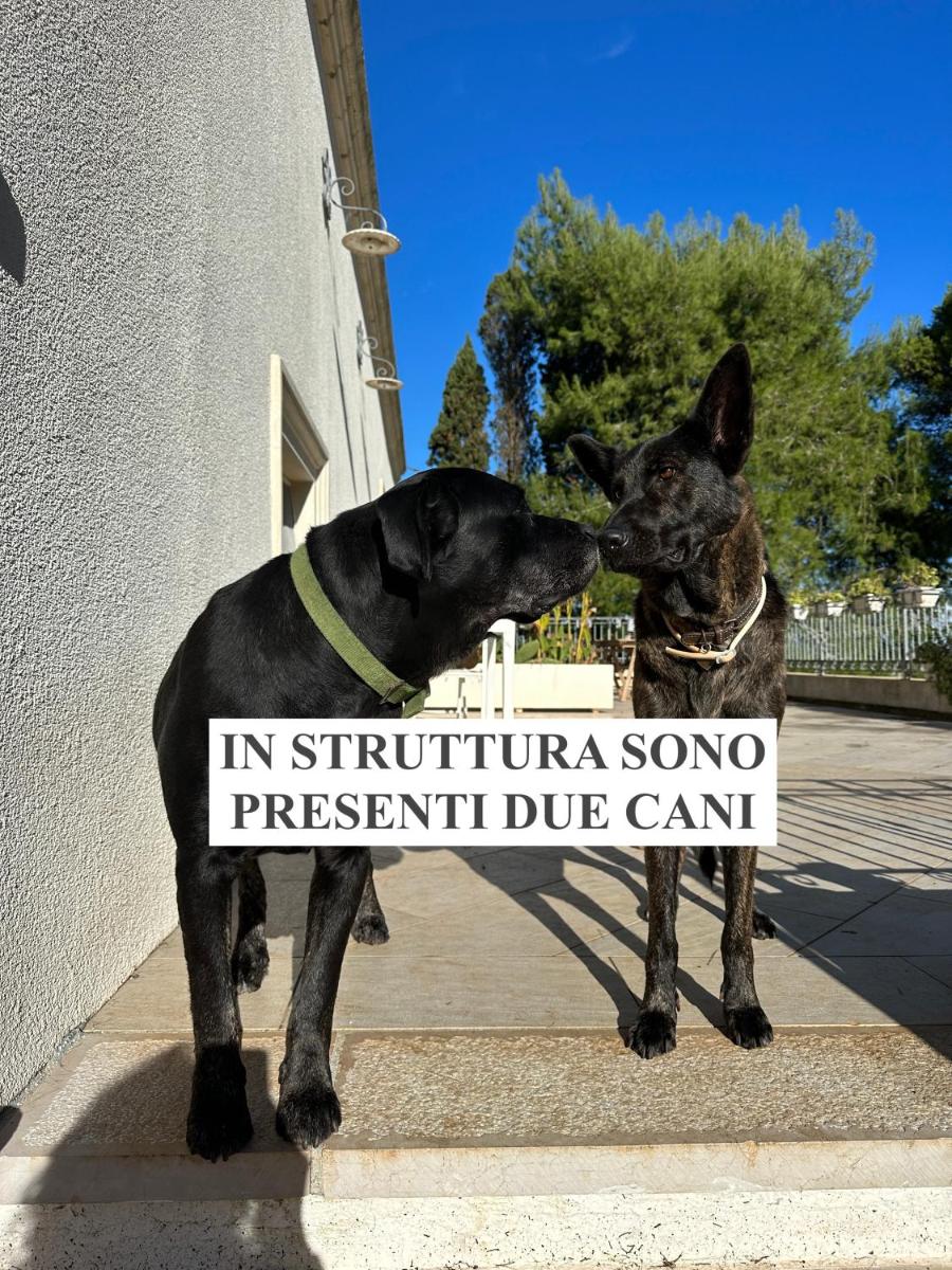 La Dimora di Ulisse - Housity