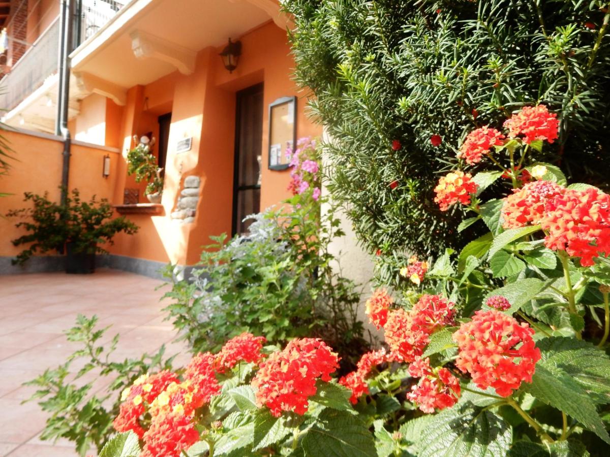 Bed&Breakfast La Siepe - Housity