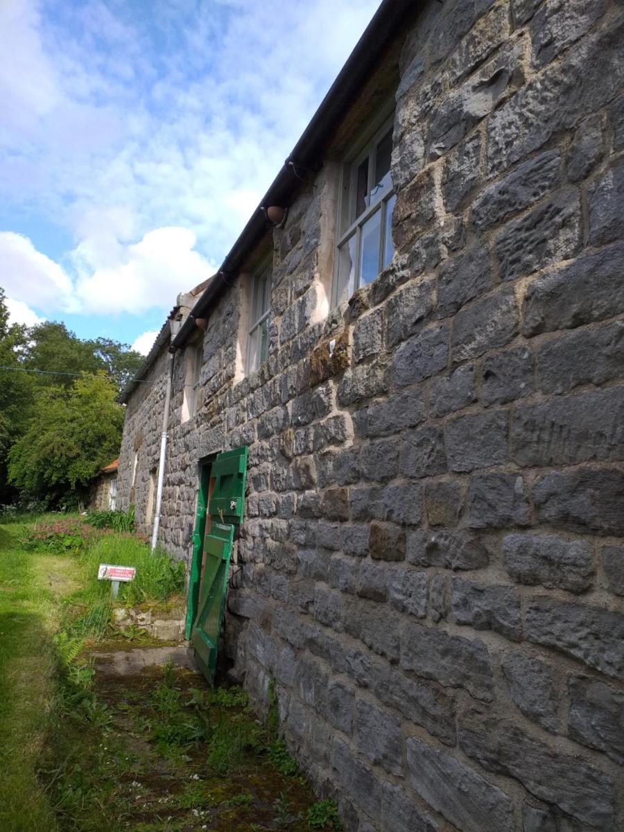 holly cottage - Housity