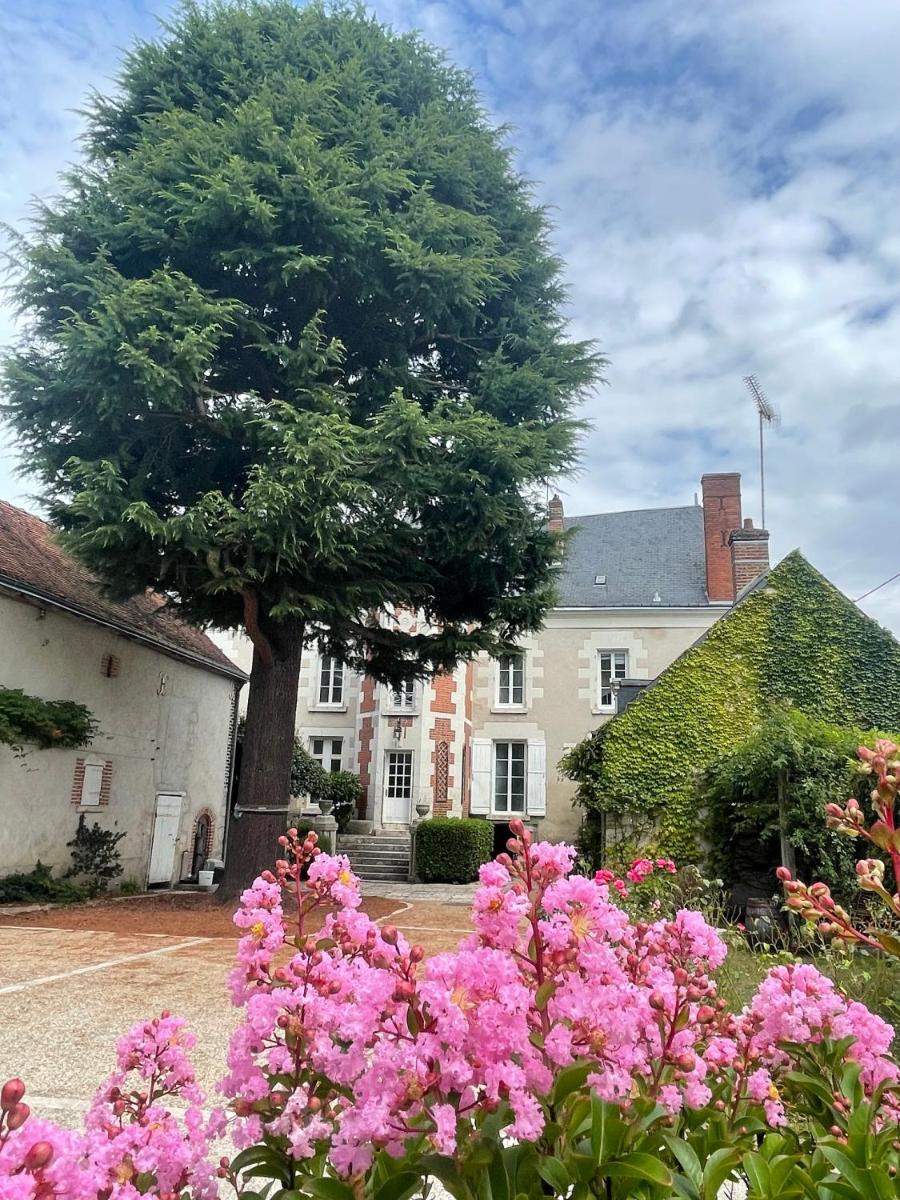 La Maison Voyage Bed and Breakfast - Housity