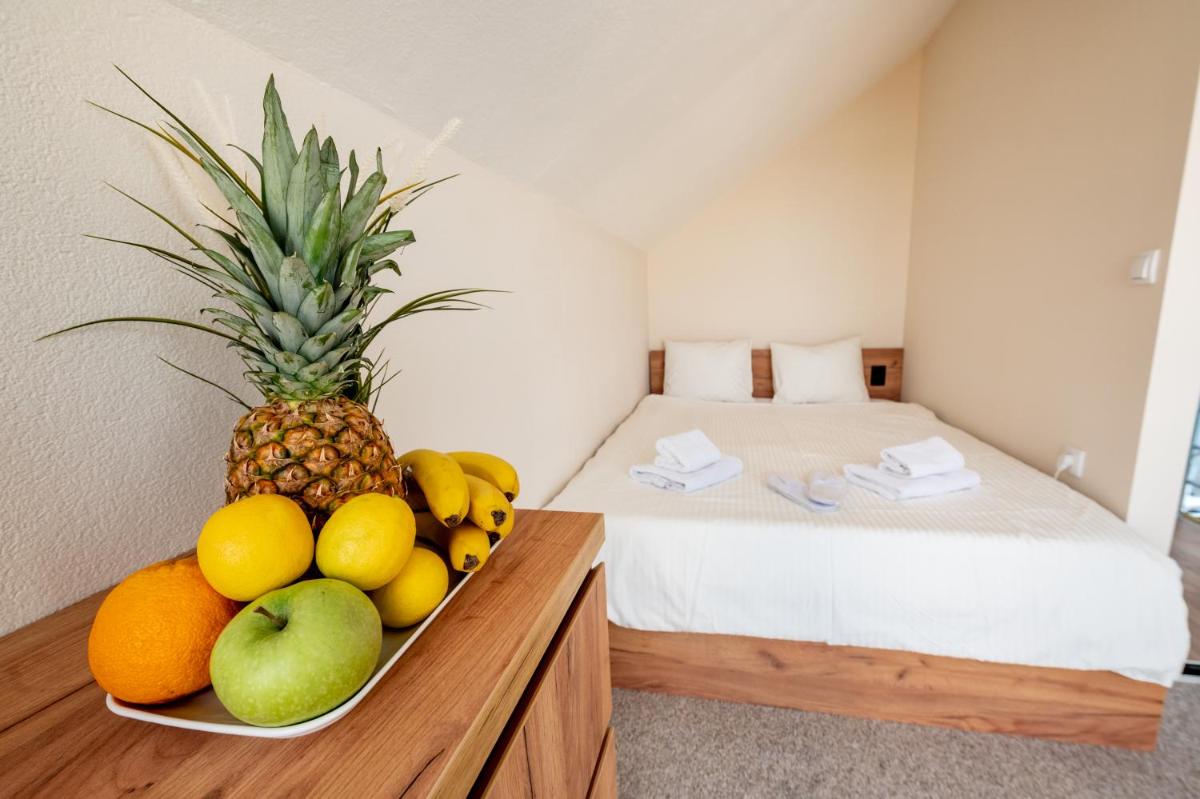 Harmonija na Dunavu - Housity