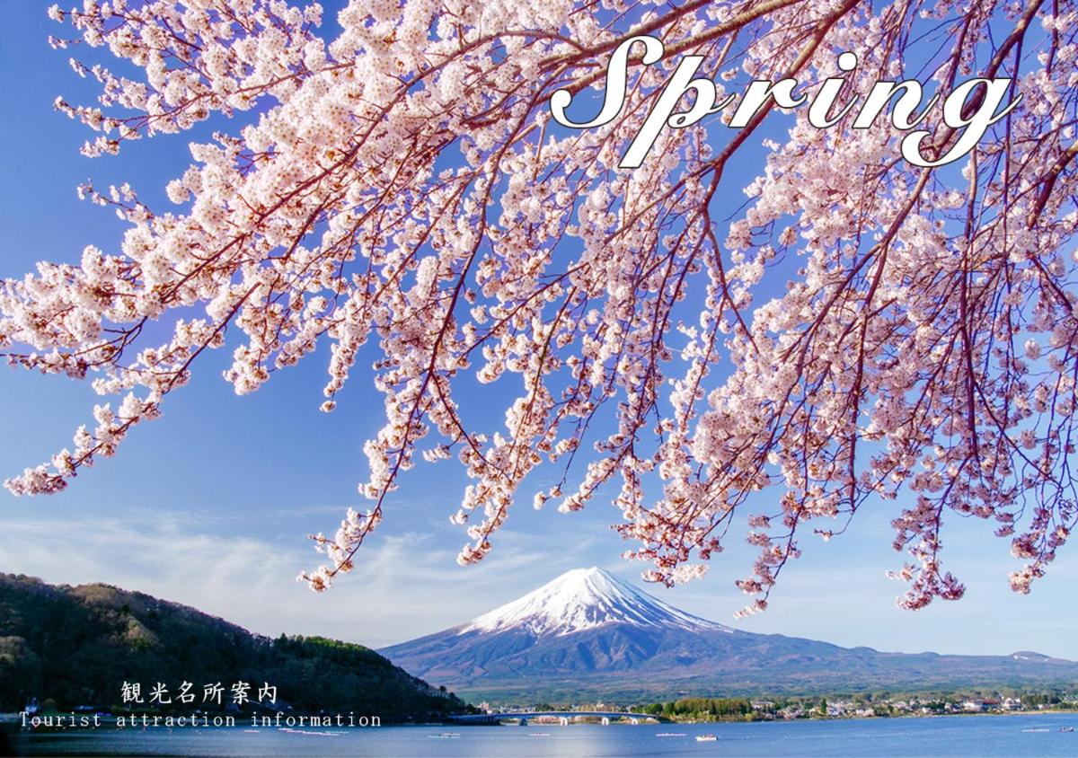 Station Villa Plaisir Mt. Fuji - Housity