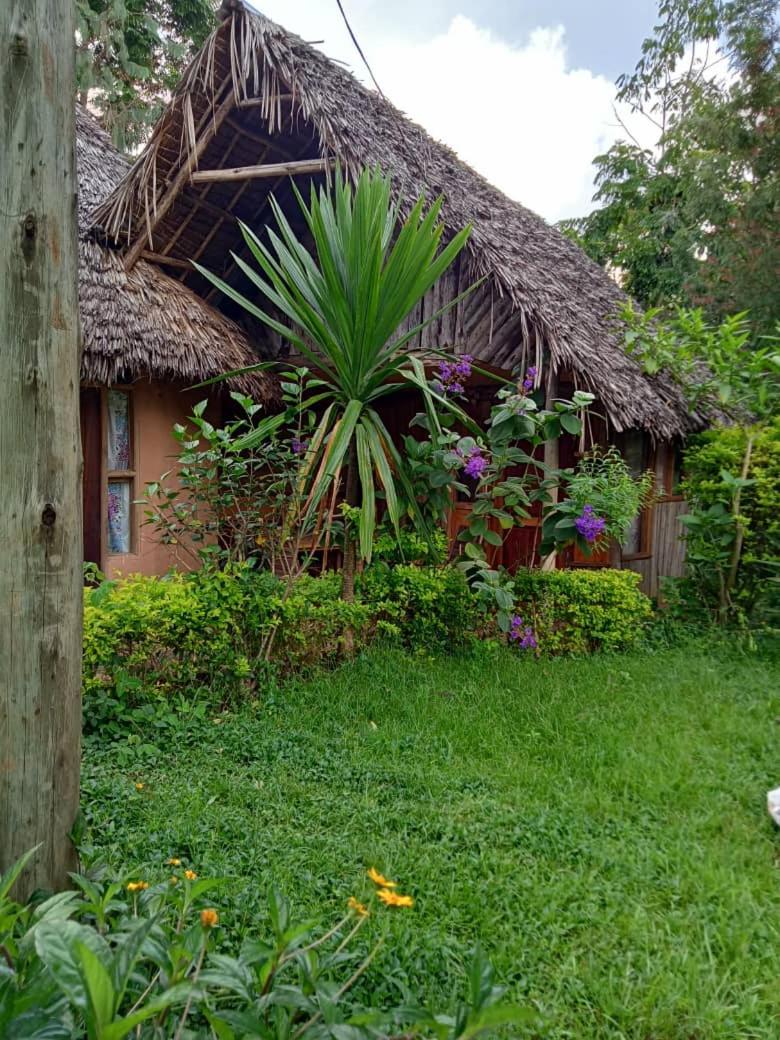 Irente Kinyonga Cottage - Housity