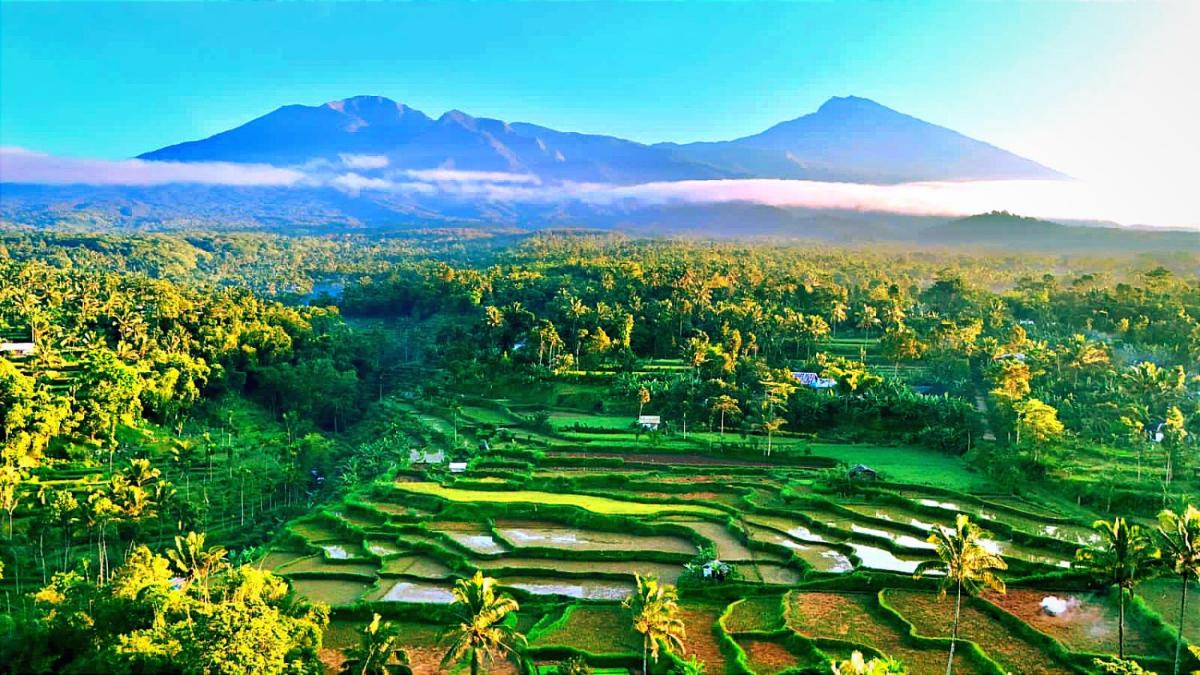 Ariel Bungalow Tetebatu - Housity