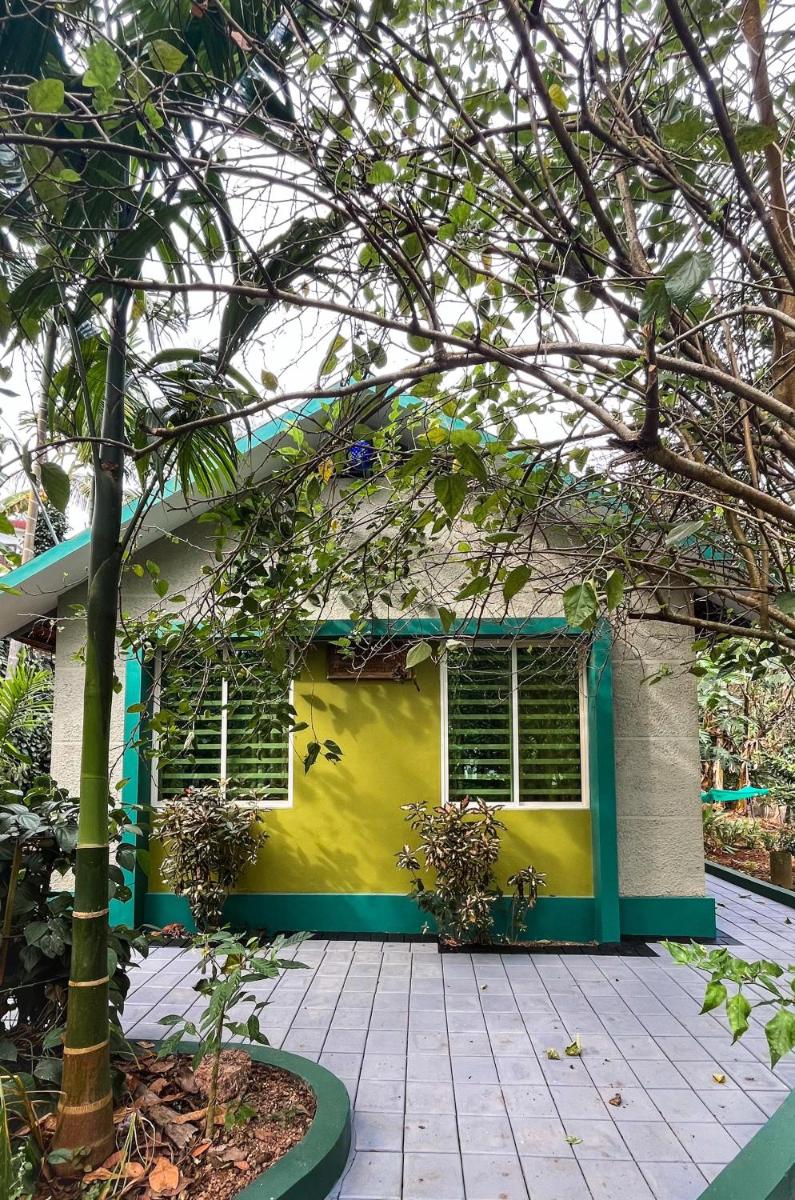 Cat'sClaw Inn - Housity
