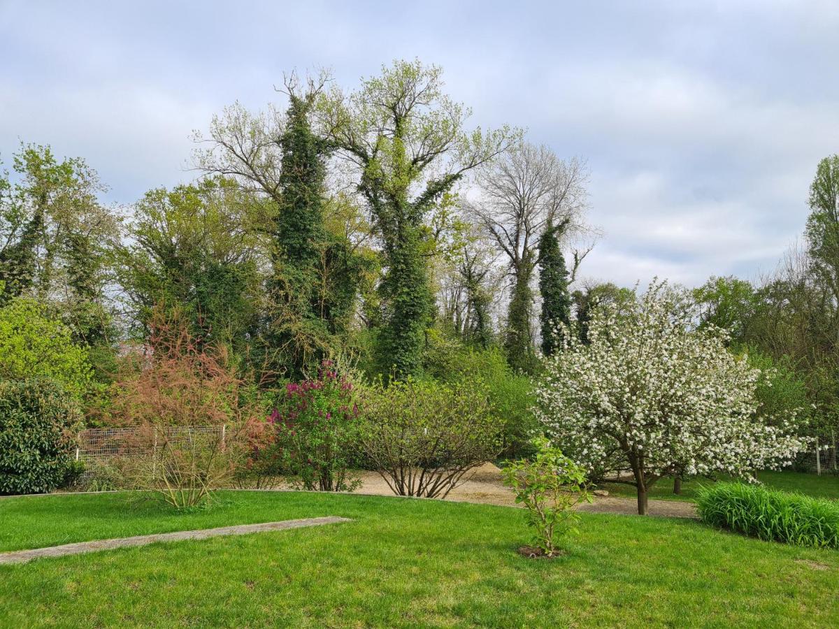 Chez Jaja et Phiphi - Housity