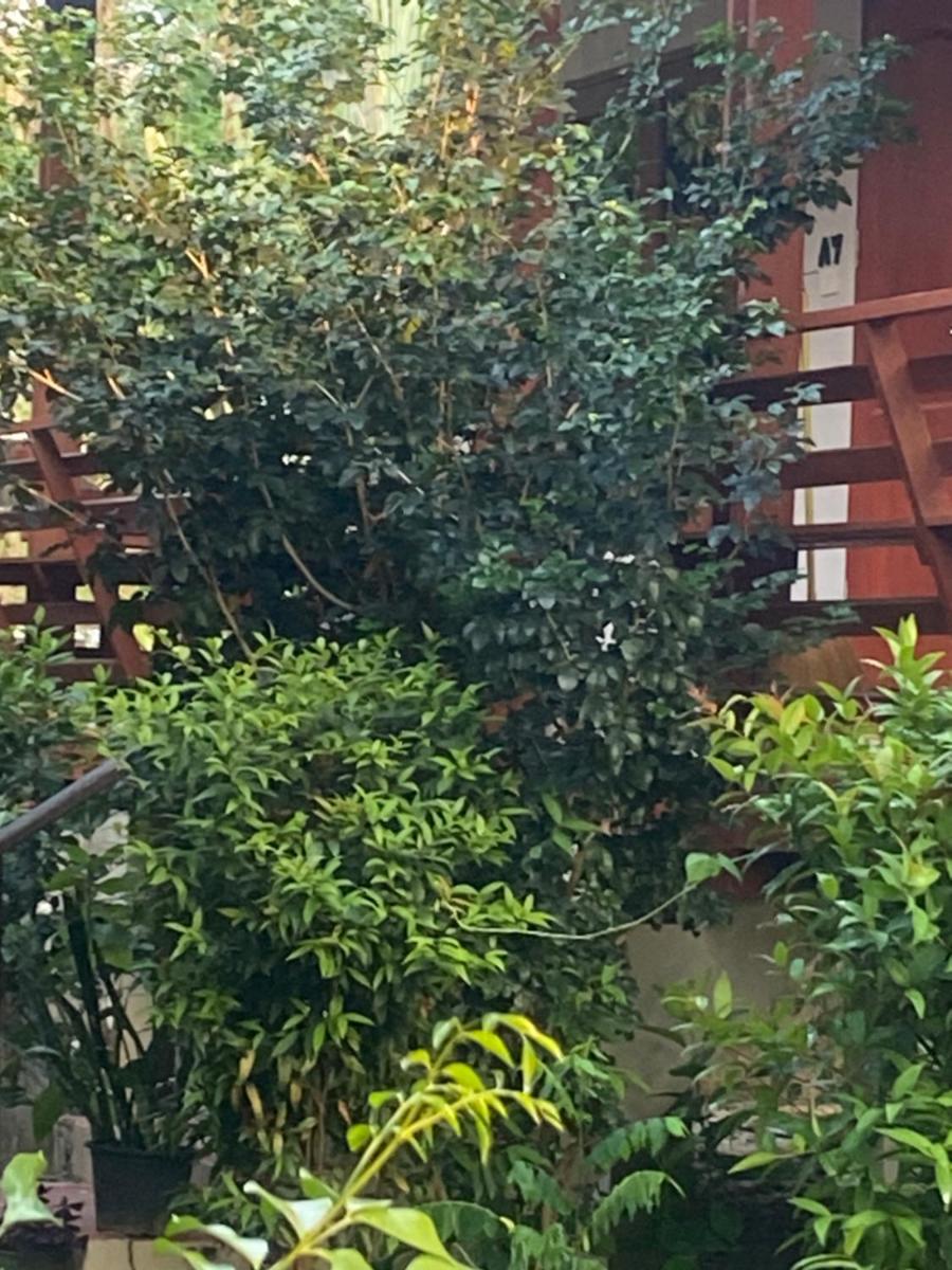 paibaansuan - Housity