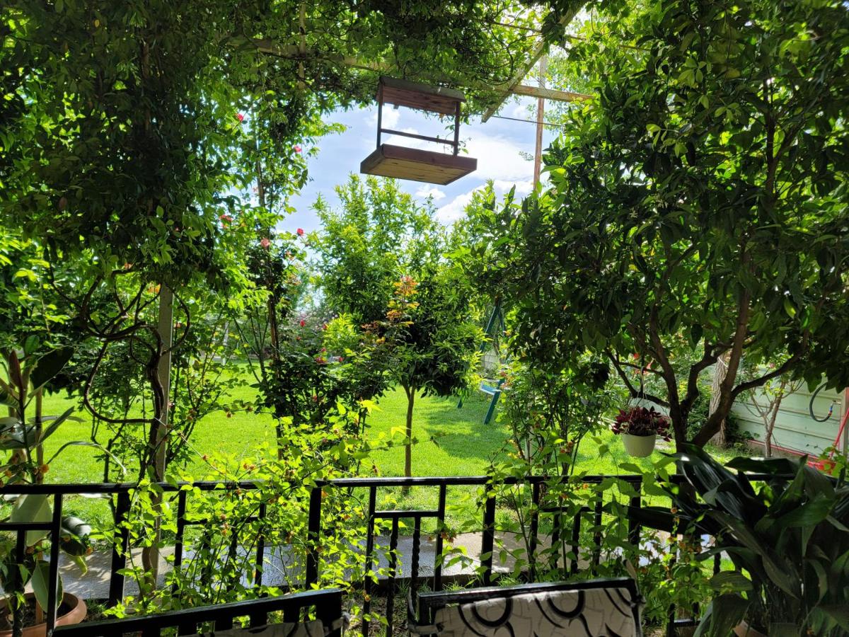 Room with private garden - Housity
