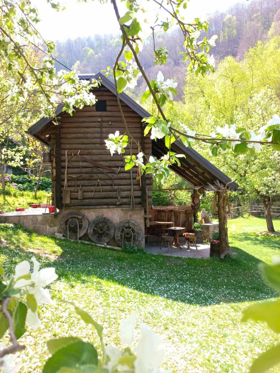Janjske otoke - smještaj na selu (Milorad Piljić) - Housity