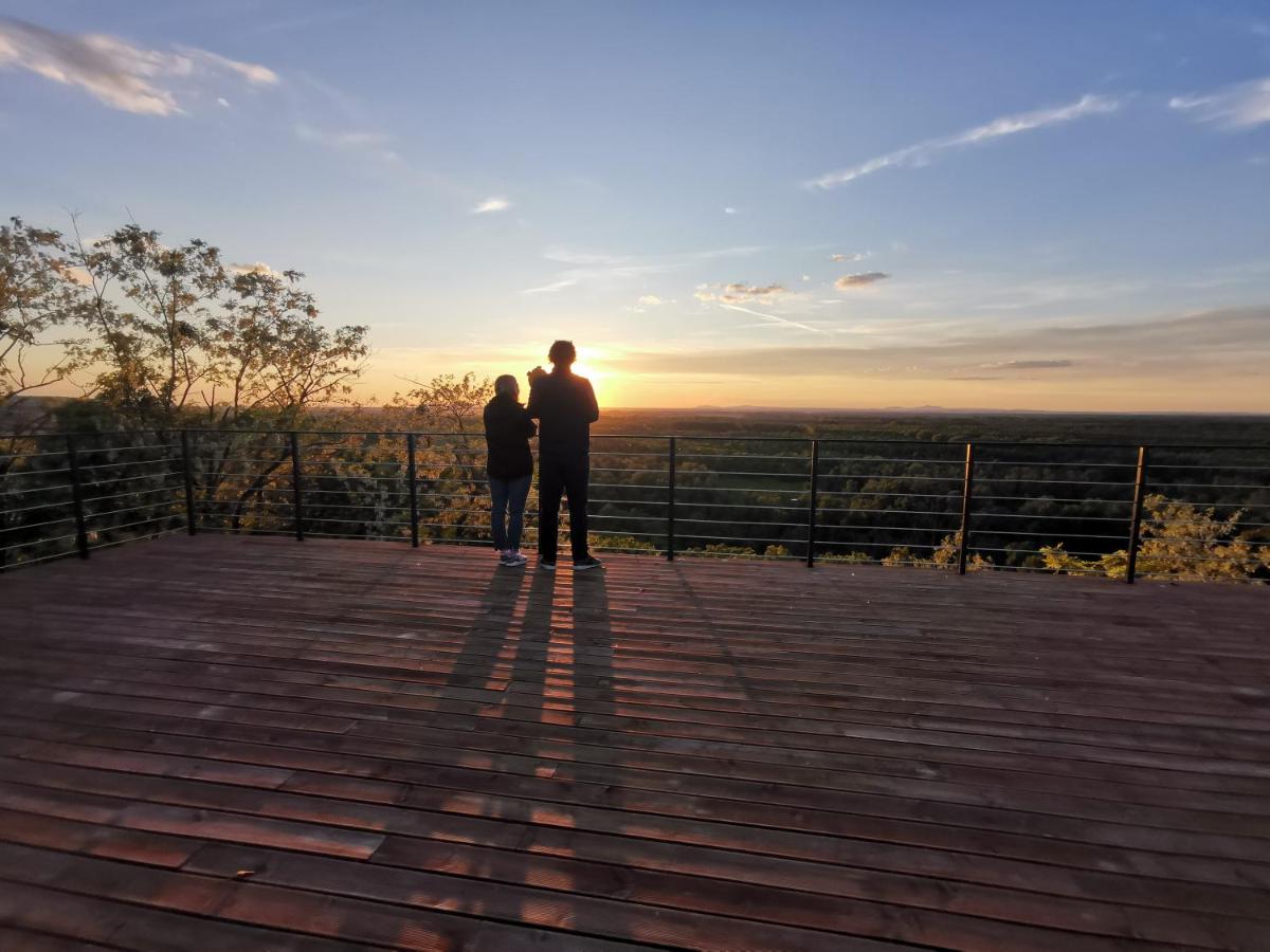 La Vida Panorama - Housity