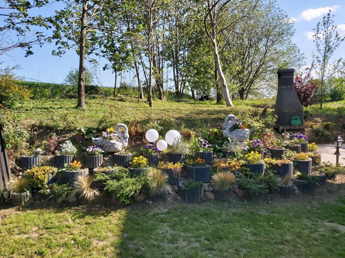 Domek u Szajnosi - Housity