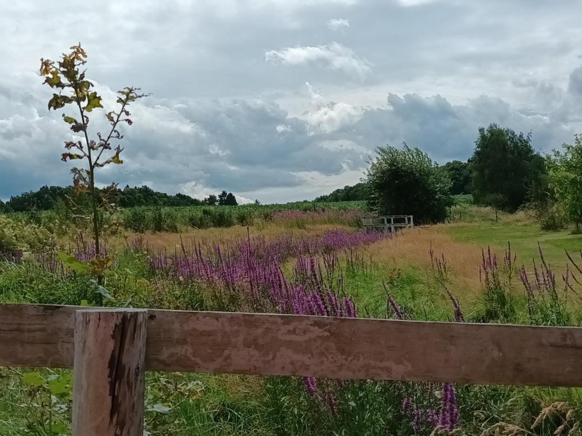 E Berry Farm - Slow life home - Housity
