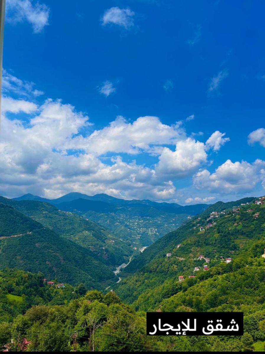 Özçelik Apart - Housity