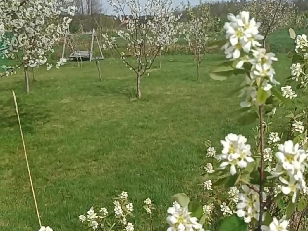 E Berry Farm - Slow life home - Housity