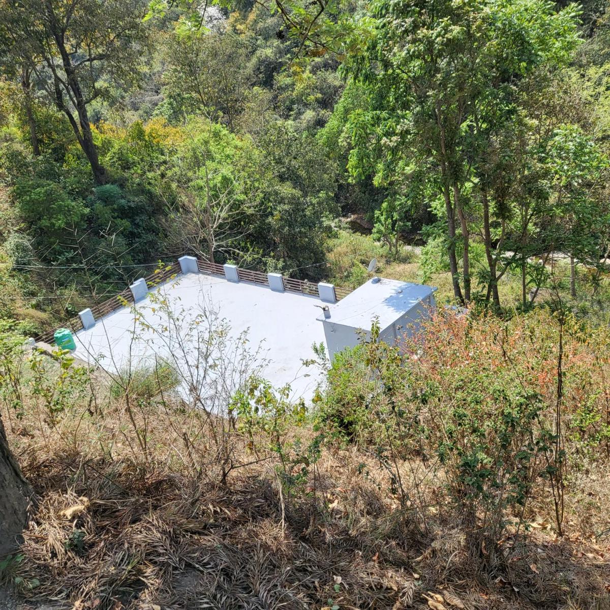 The jungle Hook - Housity