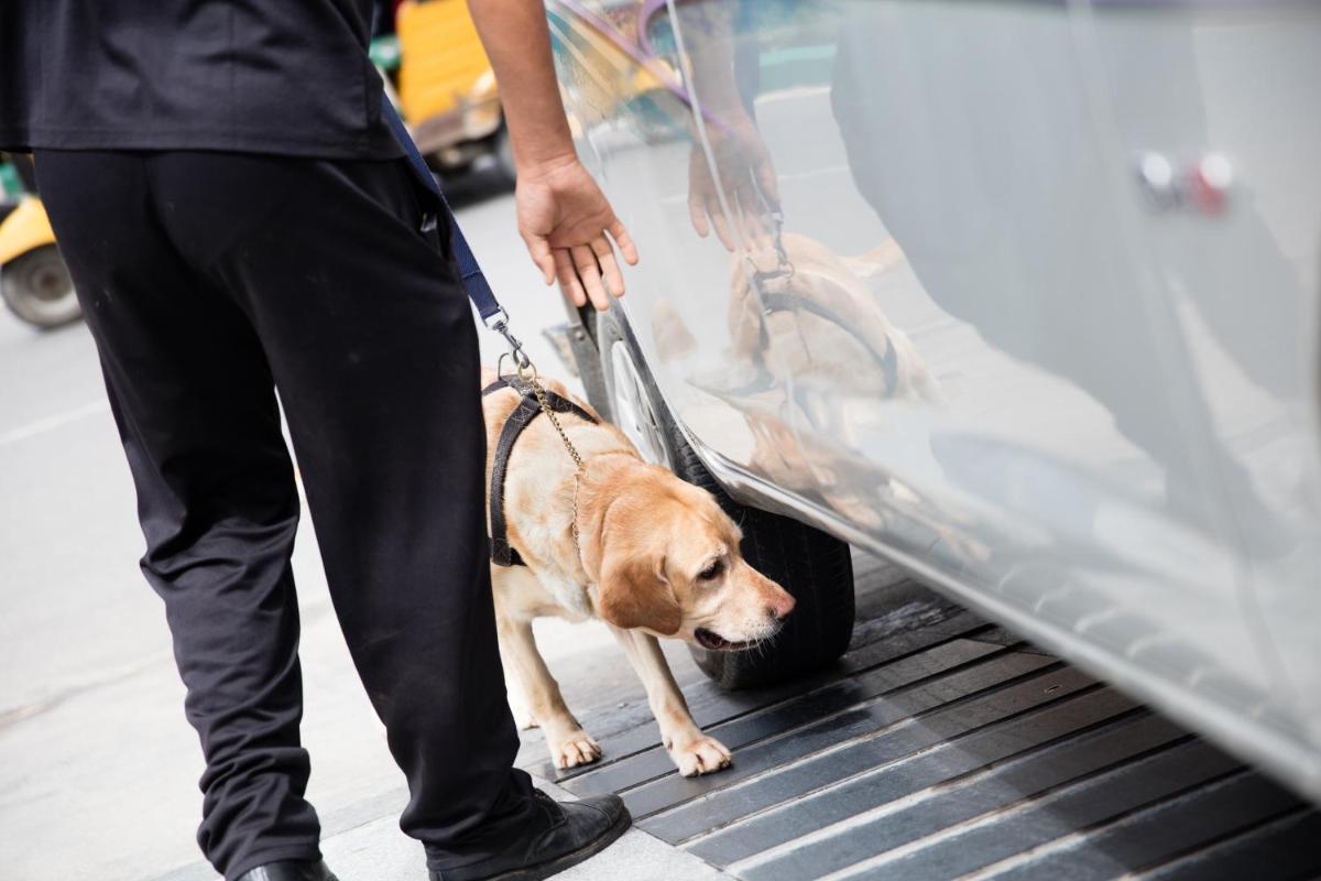 a man with a dog on a leash getting out of a car at Oakwood Residence Kapil Hyderabad in Hyderabad