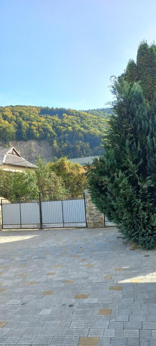 Zelena Sadyba Bila Stavka - Housity