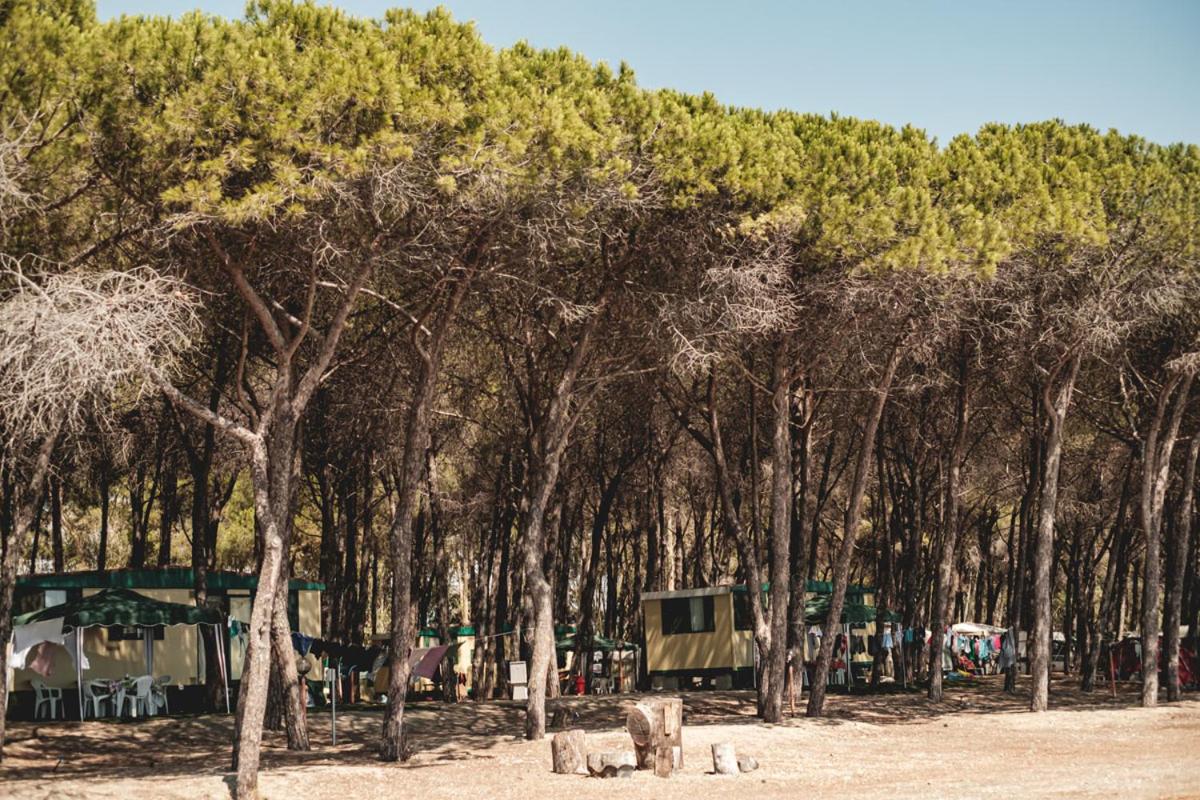 Camping Cammello Grigio - Housity