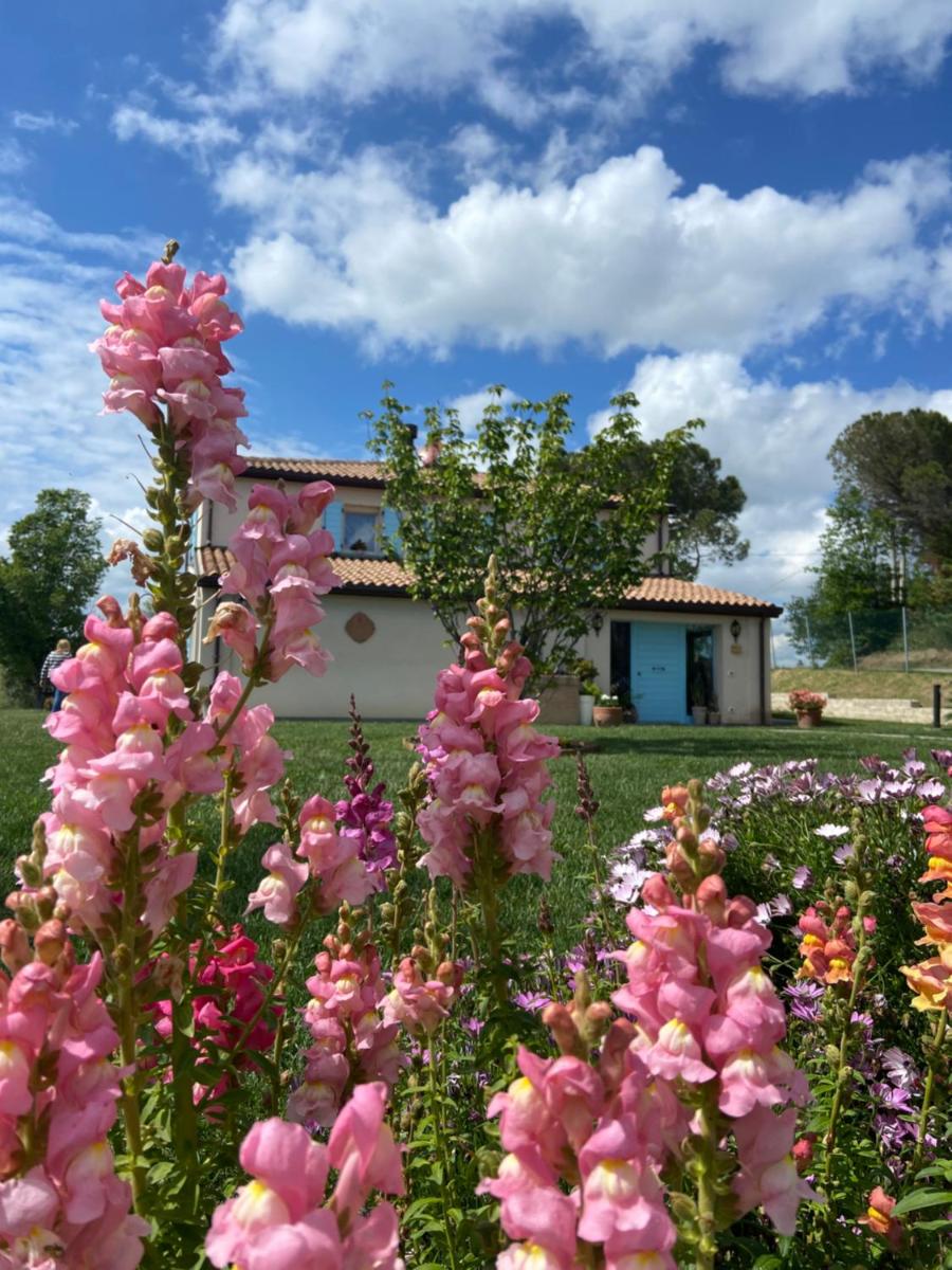 Poderino - a place to feel - Housity